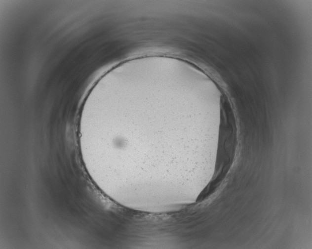 X0000080710912200701121814