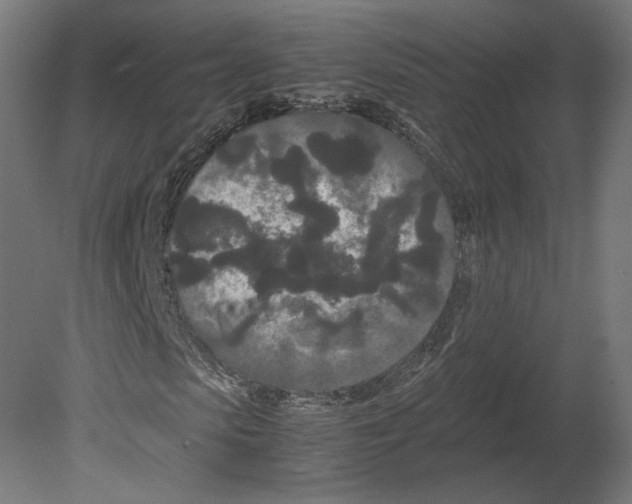 X0000080710913200701121813