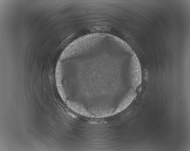 X0000080710915200701121813