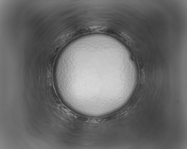 X0000080710917200701121813