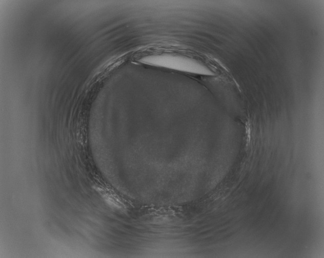 X0000080710919200701121813