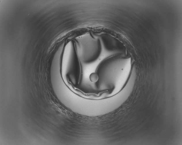 X0000080710920200701121813