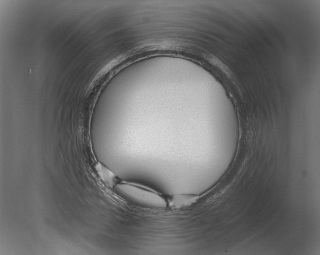 X0000080710922200701121813