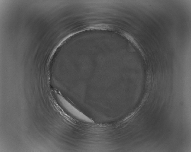 X0000080710923200701121813