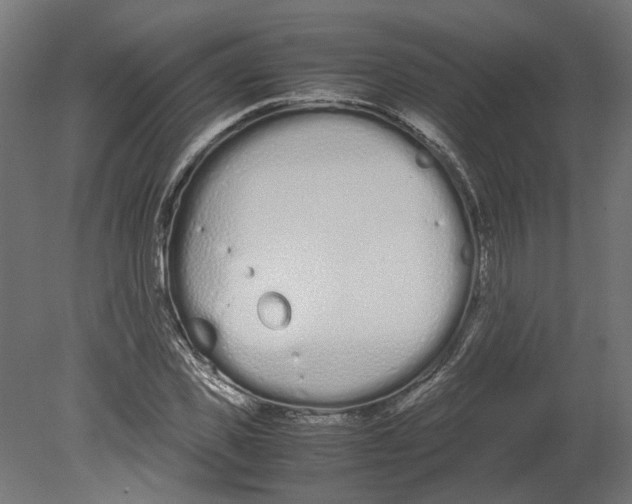 X0000080710925200701121813