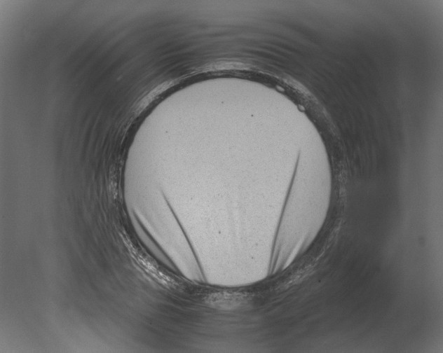 X0000080710929200701121813