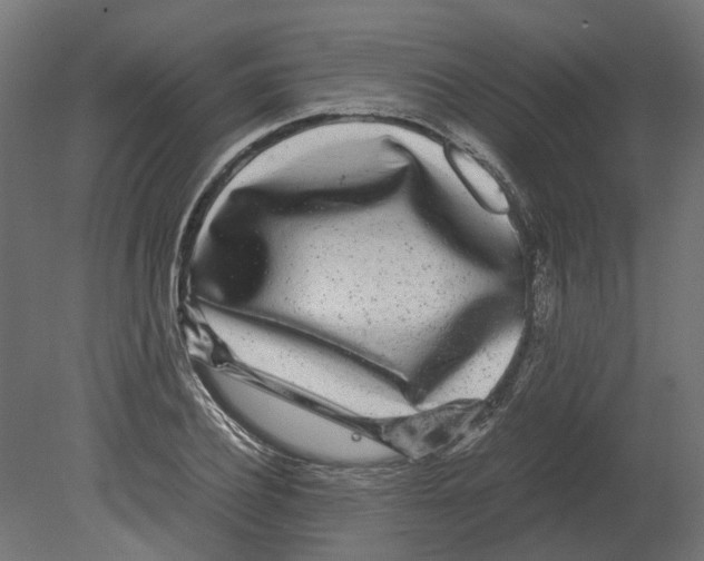 X0000080710932200701121813