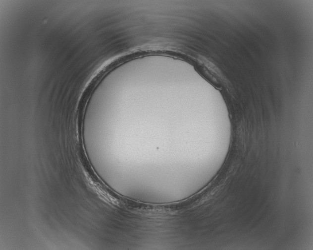 X0000080710934200701121814