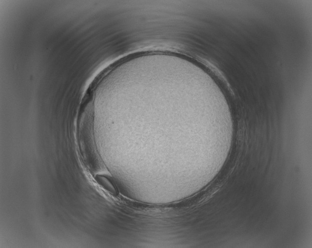 X0000080710936200701121814