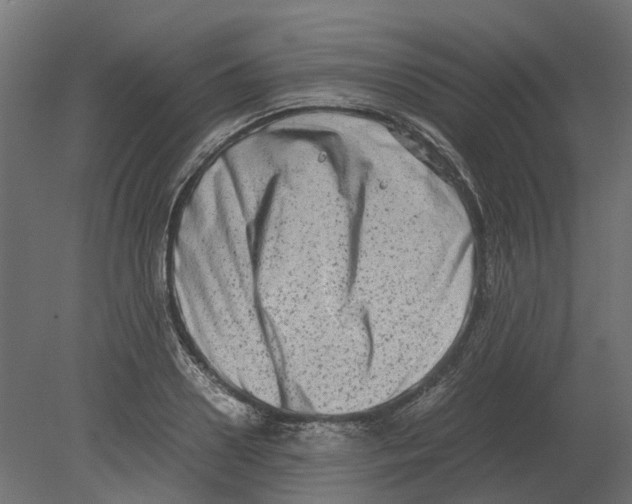 X0000080710938200701121814