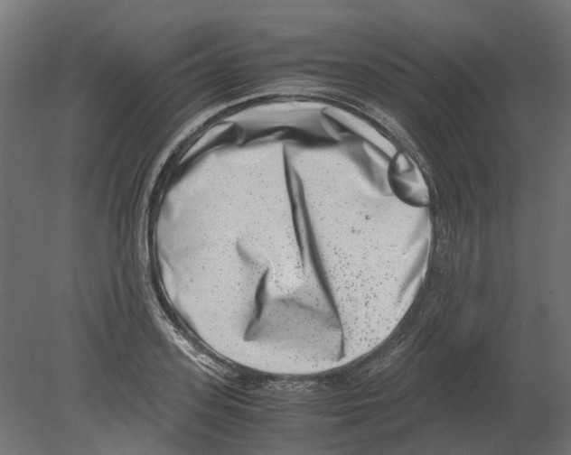 X0000080710939200701121814