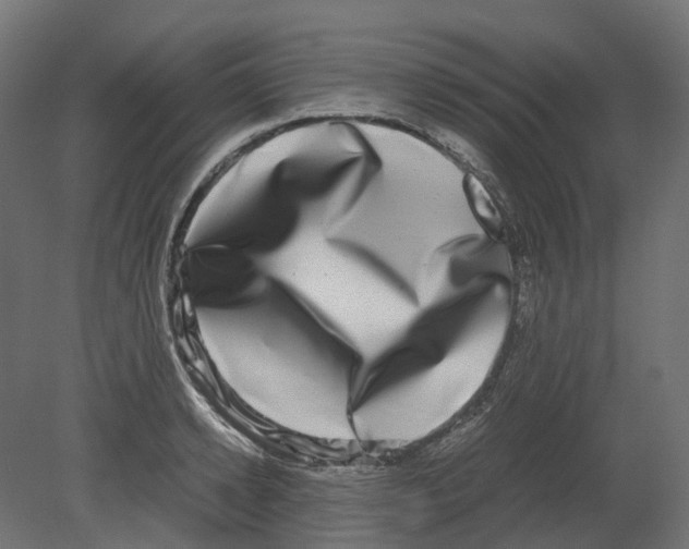 X0000080710942200701121814