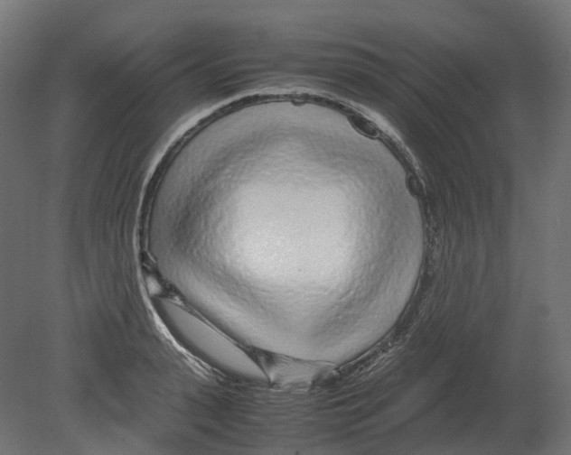 X0000080710943200701121814