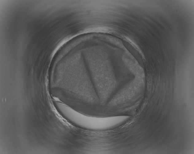 X0000080710944200701121814