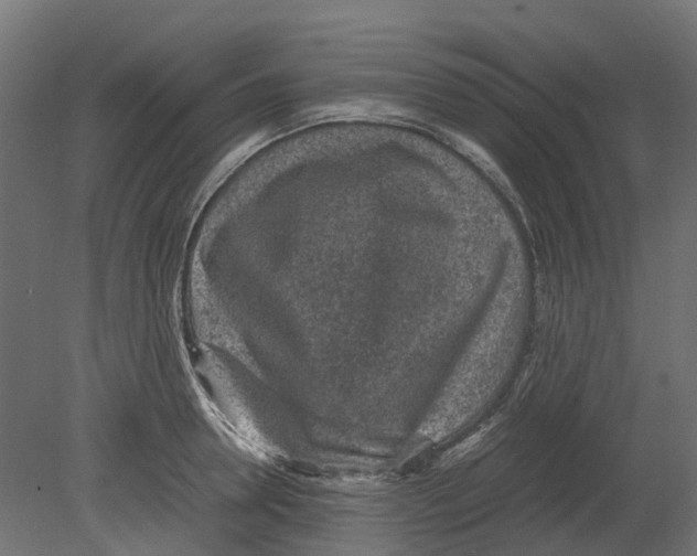 X0000080710946200701121814