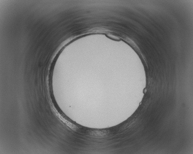 X0000080710947200701121814