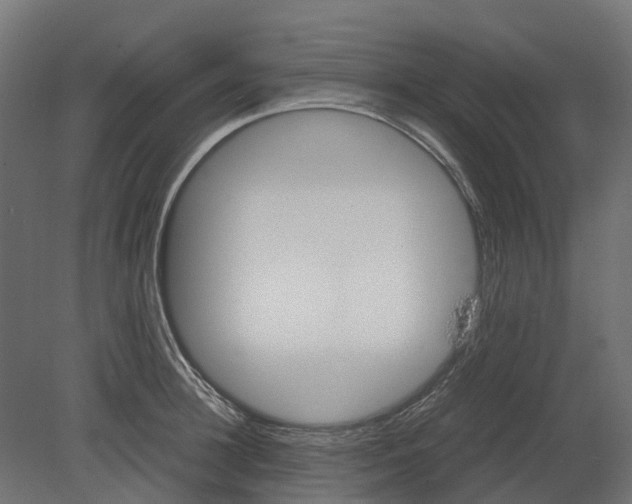 X0000080710948200701121814