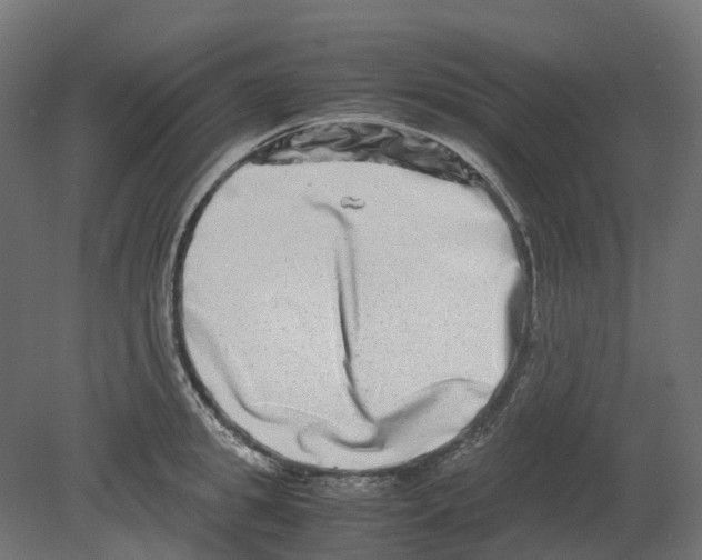 X0000080710949200701121814