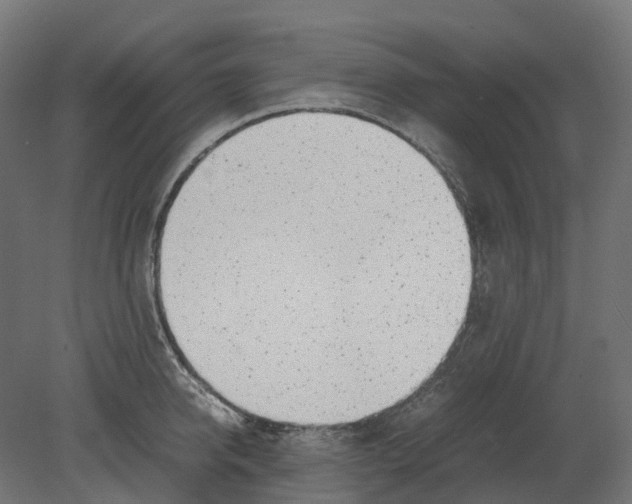 X0000080710950200701121814