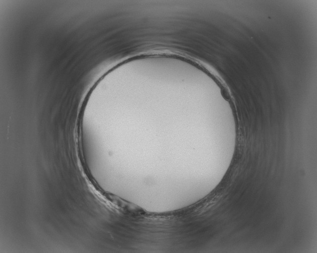 X0000080710951200701121814