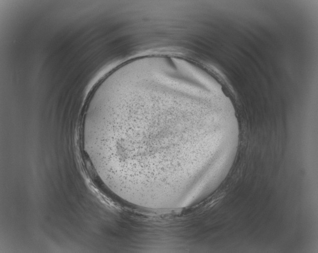 X0000080710952200701121814