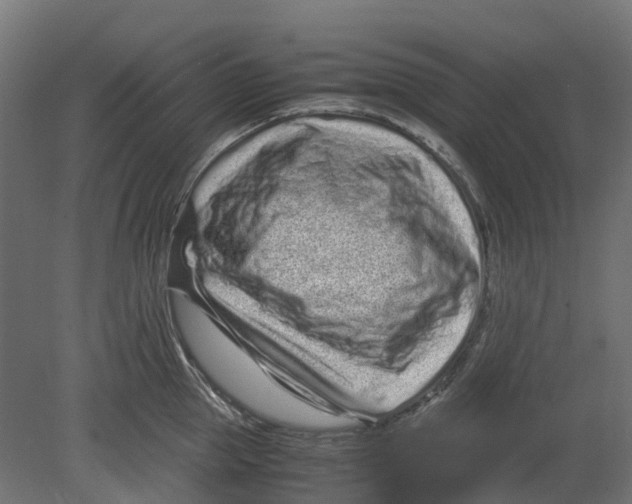 X0000080710953200701121814