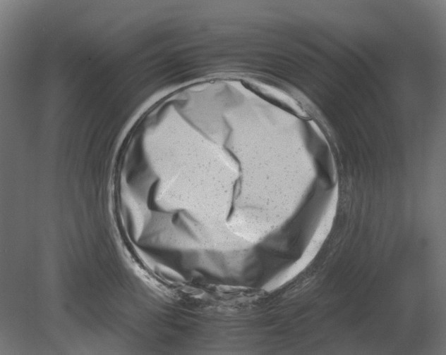 X0000080710955200701121814