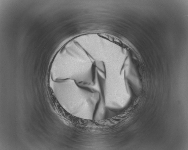 X0000080710956200701121814