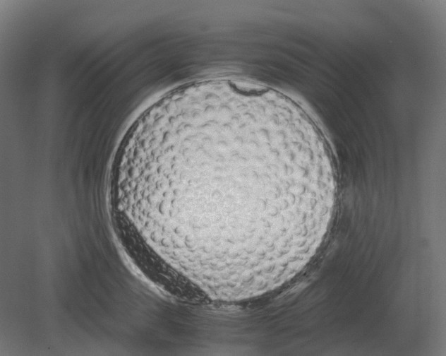 X0000080710957200701121814