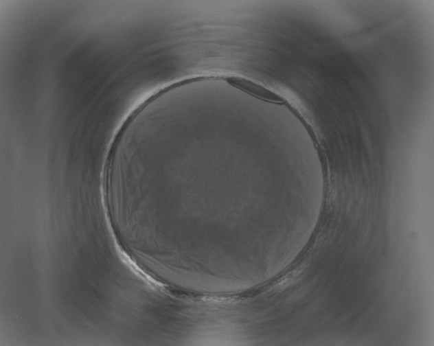 X0000080710958200701121814