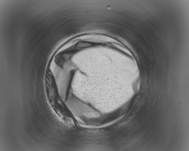 X0000080710959200701121814