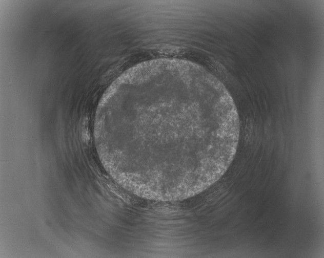 X0000080710962200701121813