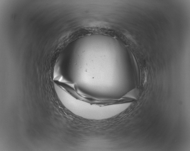 X0000080710965200701121813