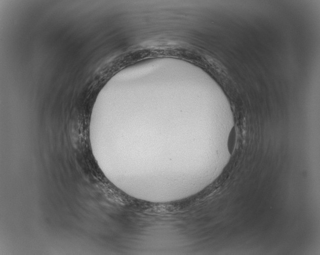 X0000080710966200701121813