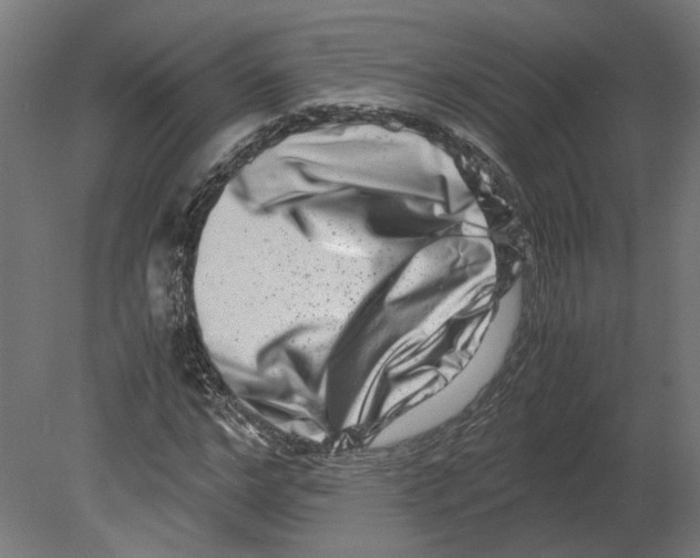 X0000080710968200701121813