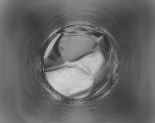 X0000080710969200701121813