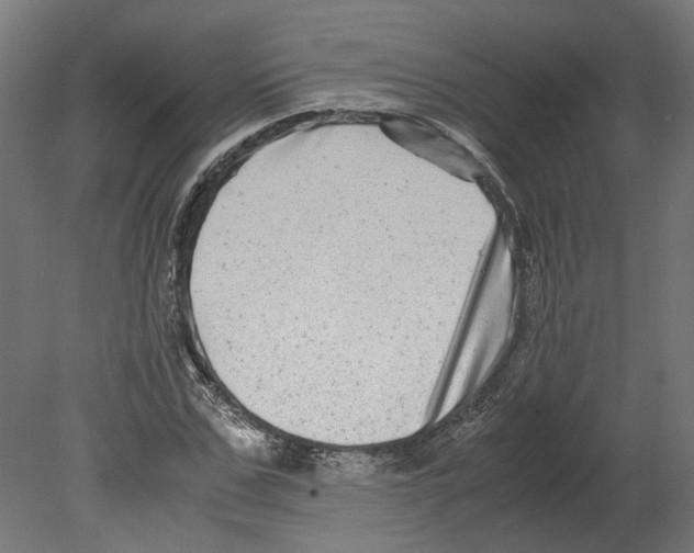 X0000080710971200701121813