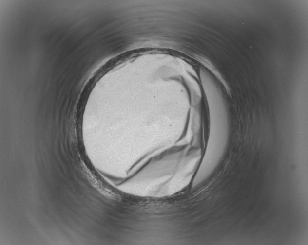 X0000080710972200701121813