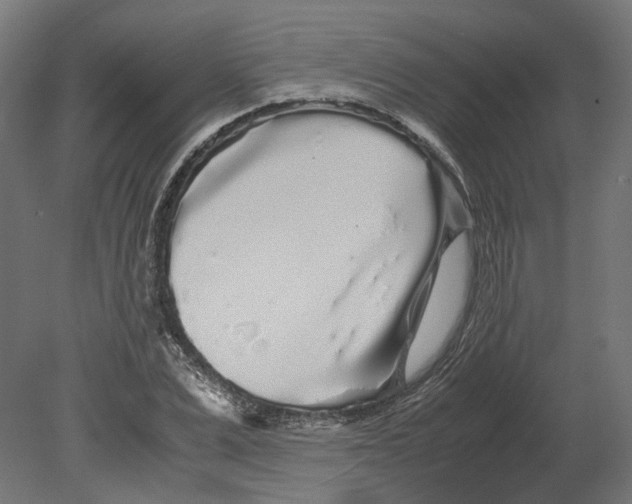 X0000080710975200701121813