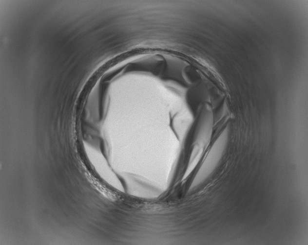 X0000080710976200701121813