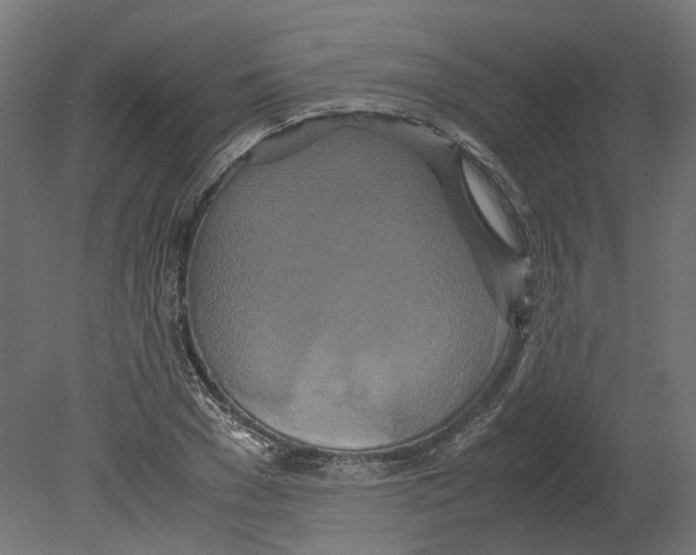 X0000080710977200701121813