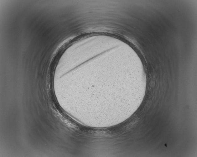 X0000080710979200701121813