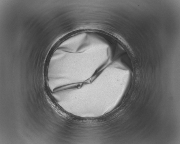 X0000080710980200701121813