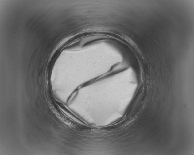 X0000080710981200701121813