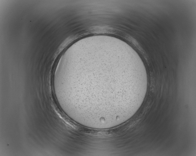 X0000080710986200701121813