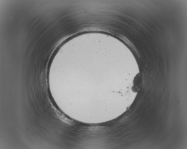 X0000080710988200701121813