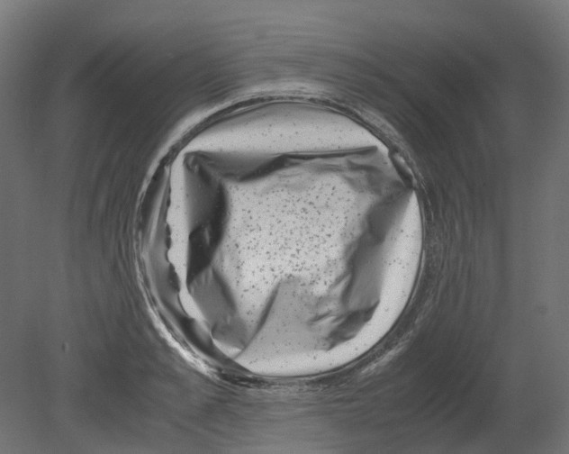 X0000080710989200701121813