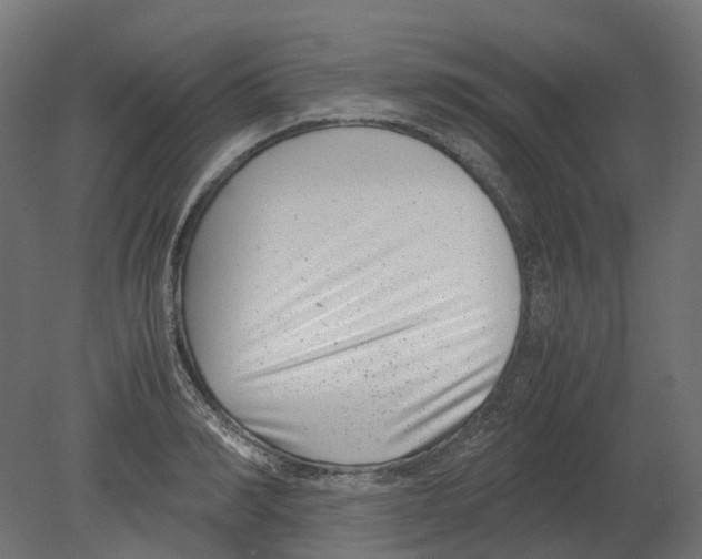 X0000080710990200701121813