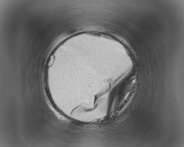 X0000080710991200701121813