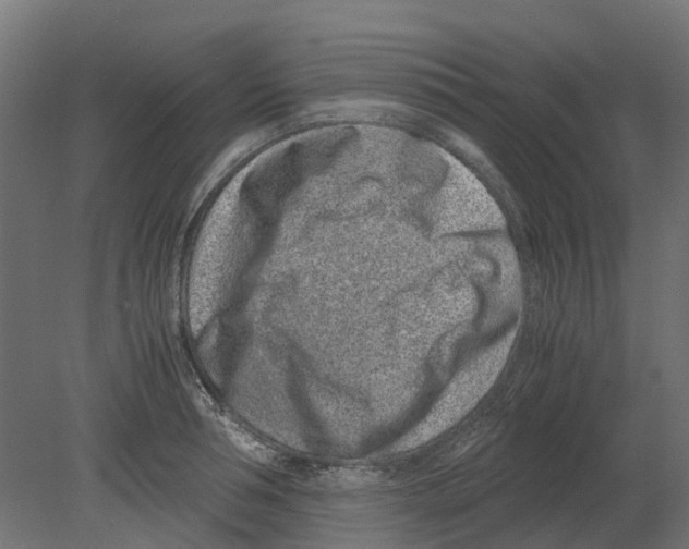 X0000080710994200701121813